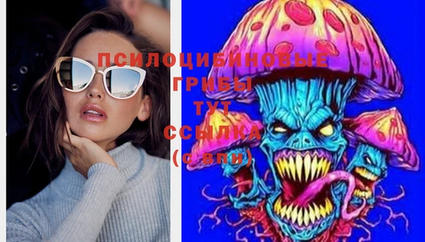 ECSTASY Медвежьегорск