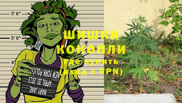 ECSTASY Медвежьегорск