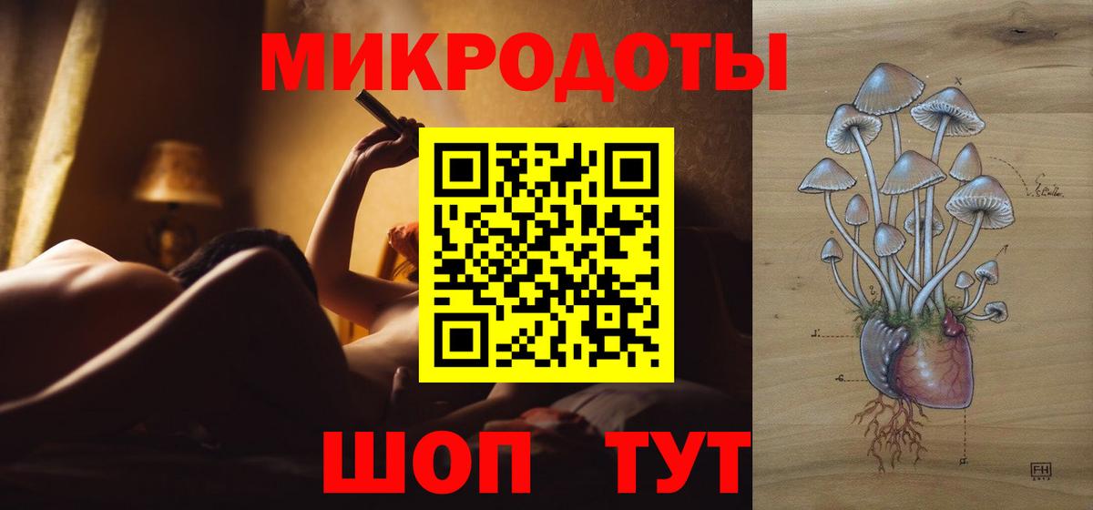 Псилоцибиновые грибы мицелий Благодарный
