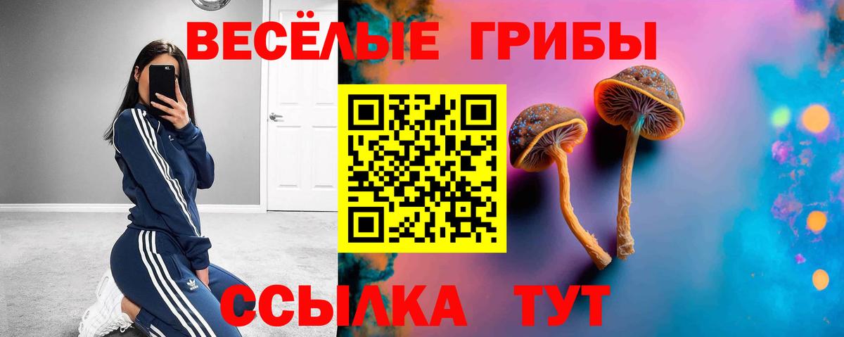 Благодарный  Псилоцибиновые грибы прущие грибы  купить   Галлюциногенные грибы Magic Shrooms  Вход с VPN 