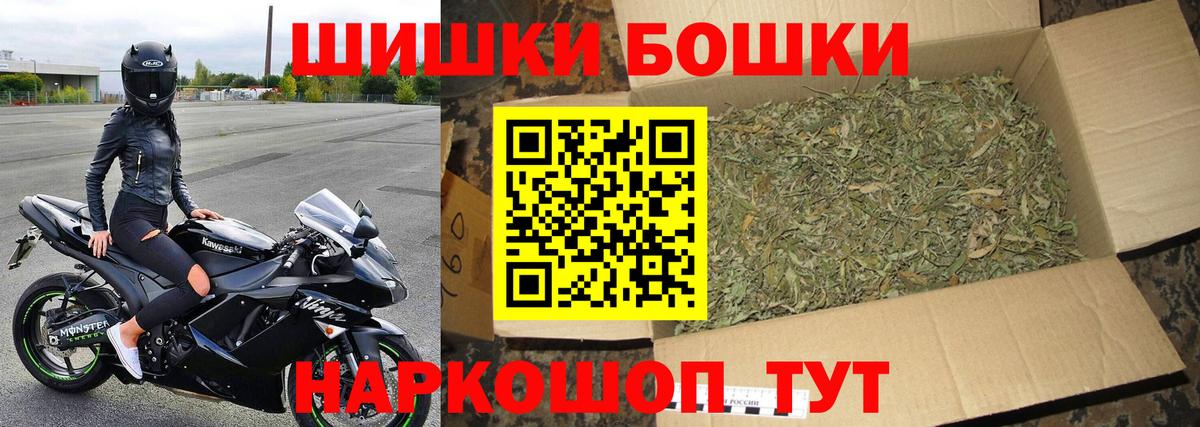 Канабис сатива Благодарный